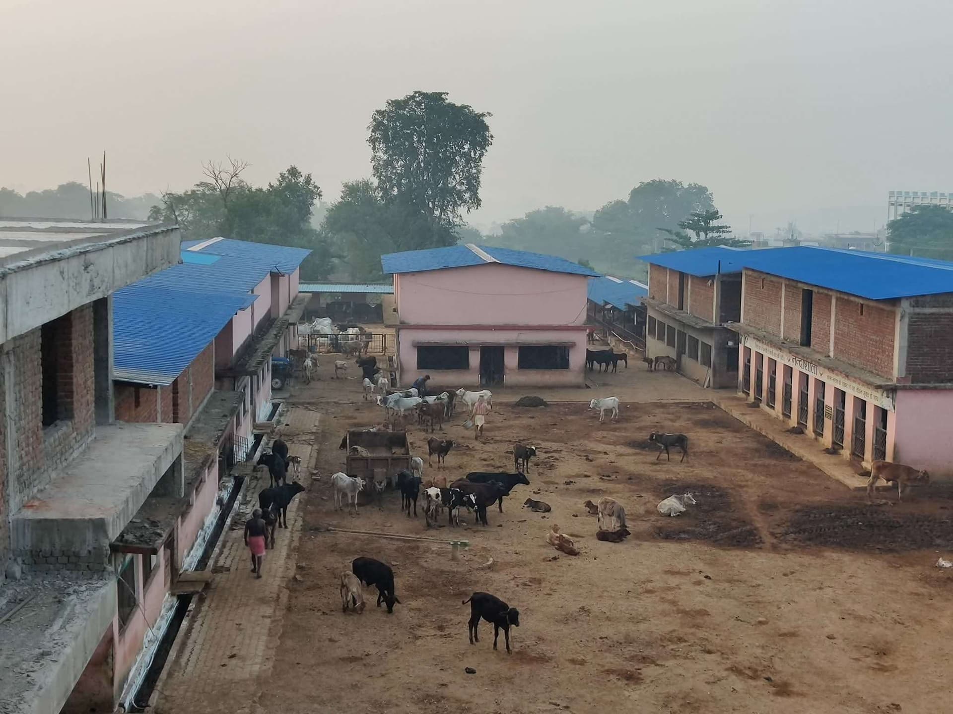 Giridih News :आर्थिक उपार्जन का माध्यम ना हो गोशाला
