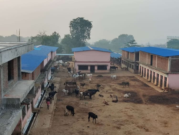 Giridih News :आर्थिक उपार्जन का माध्यम ना हो गोशाला