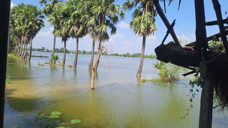 खुसरूपुर और फतुहा के किसानों की हजारों एकड़ भूमि जलमग्न