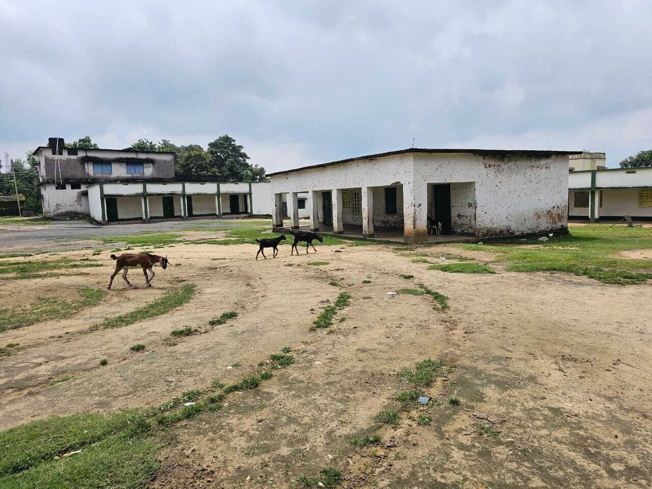 Giridih News :उत्क्रमित कन्या उवि के 440 विद्यार्थियों को पढ़ाते हैं चार शिक्षक