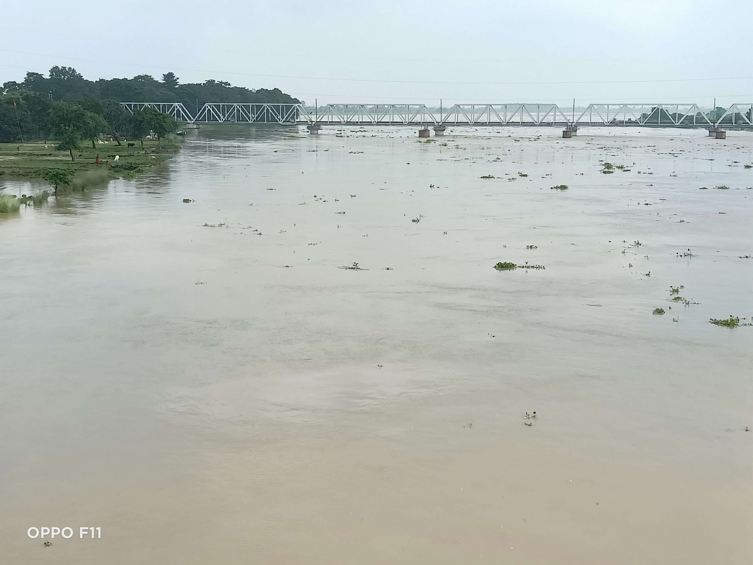 महानंदा का जलस्तर बढ़ने से बढ़ी बाढ़ की संभावना