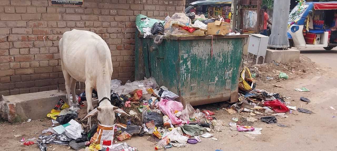 नपं की सफाई व्यवस्था बेपटरी, कचरे से फैल रही दुर्गंध