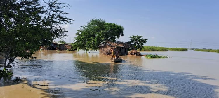 Darbhanga News: निचले इलाकों के चार दर्जन से अधिक घरों में घुस गया कोसी व कमला का पानी