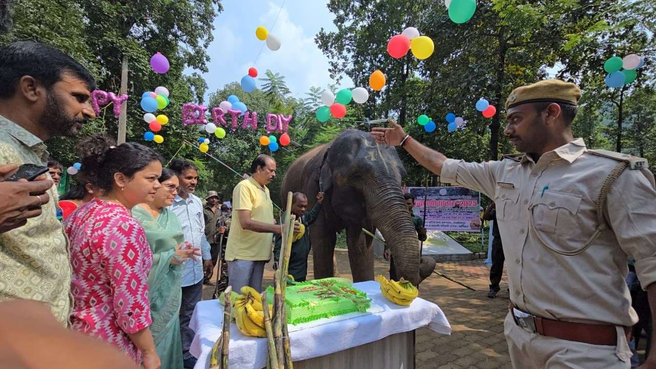 Jamshedpur News : दलमा में हथिनी रजनी का मनाया गया जन्मदिन