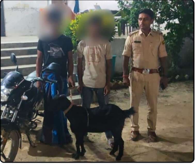 चोरी की बाइक व बकरी के साथ दो गिरफ्तार