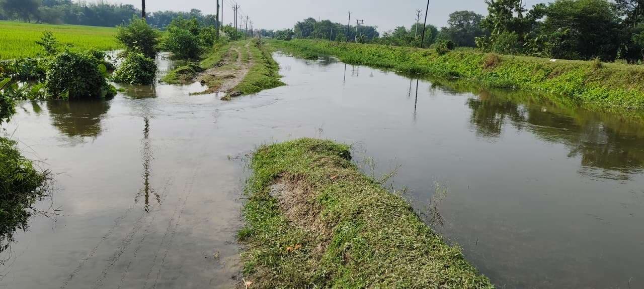 छातापुर में सुरसर नदी मचा रही तबाही, पानी से घिर गए हैं कई गांव