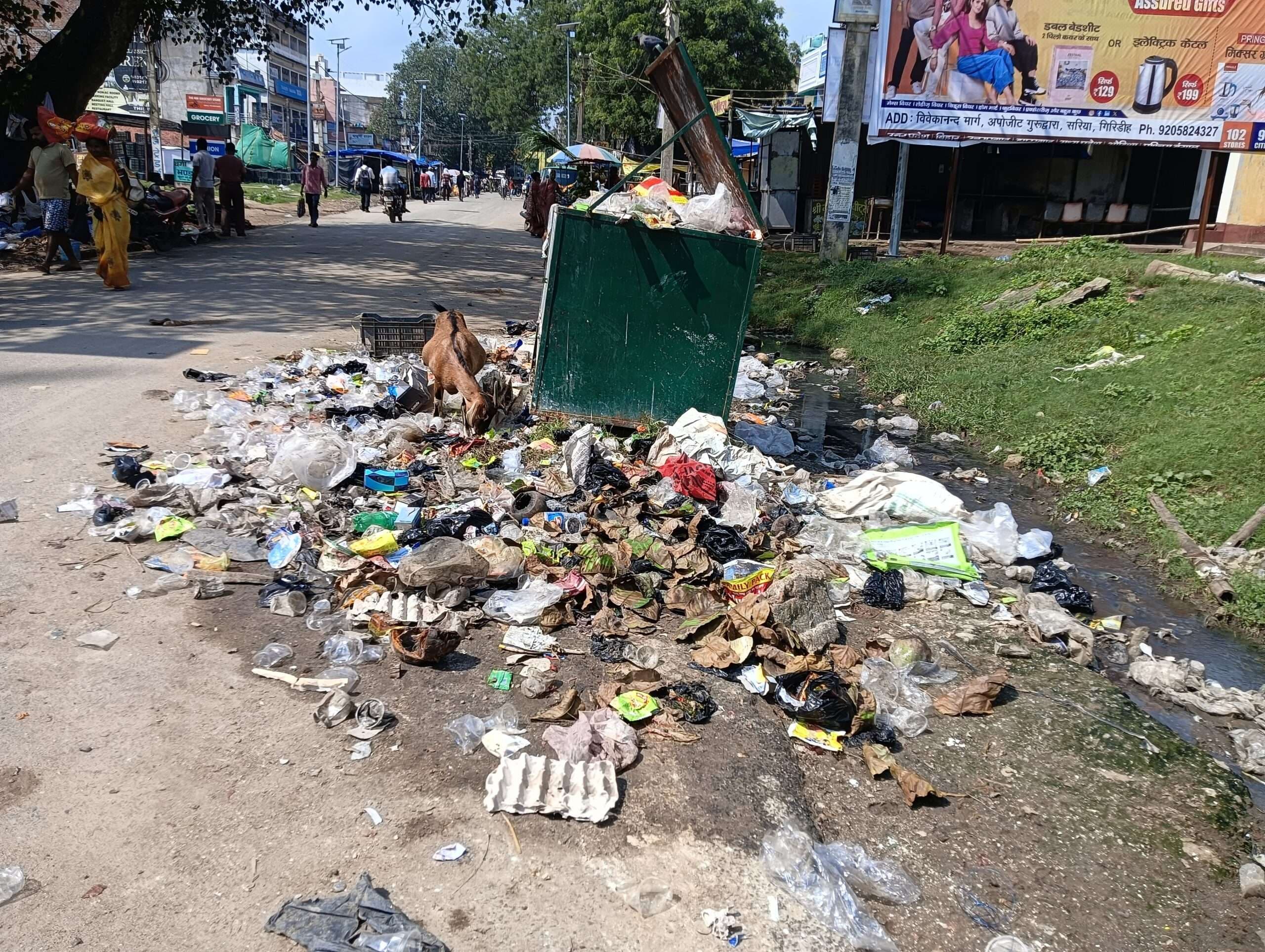 Giridih News :सरिया की सड़कों पर कचरे का अंबार, सफाई की मांग
