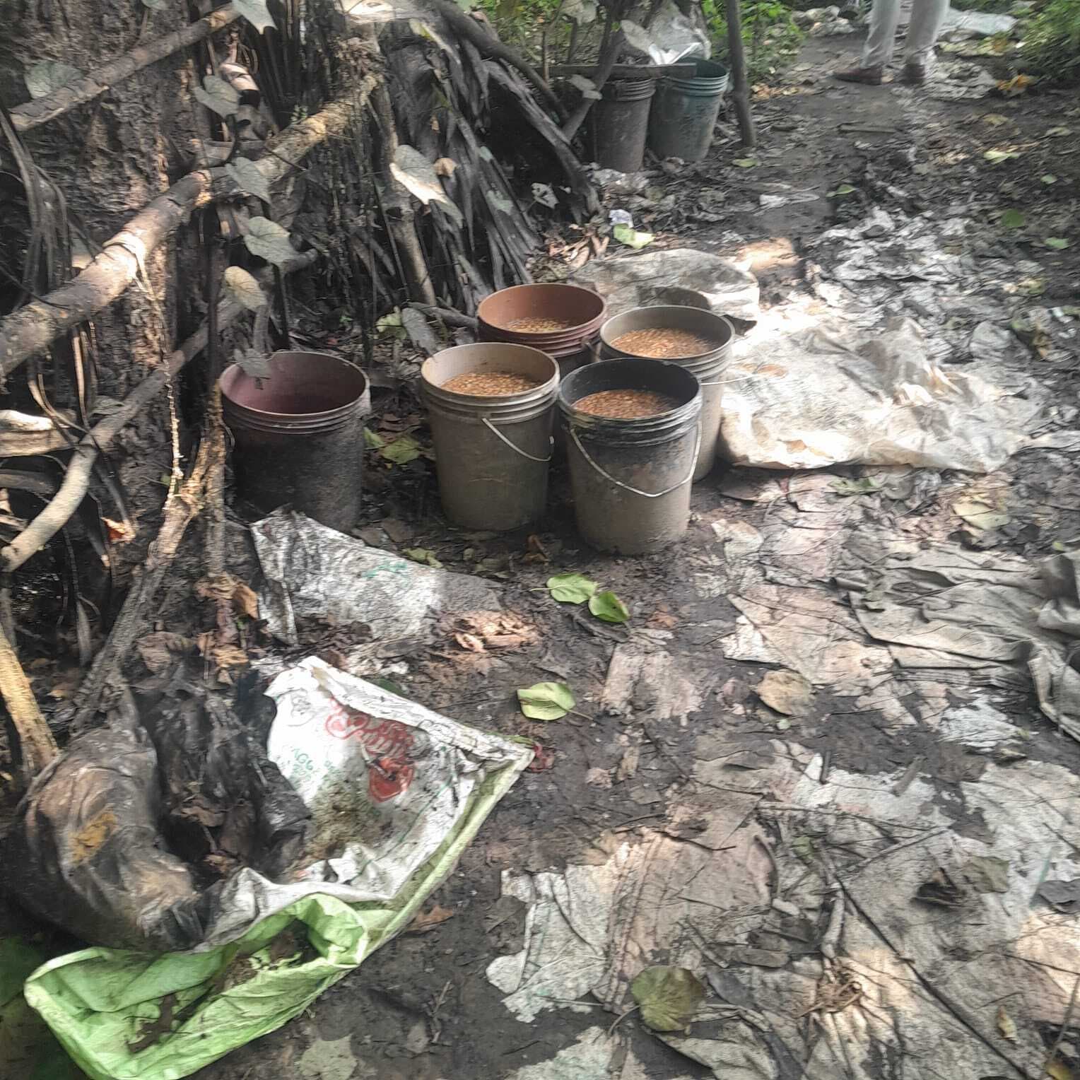 East Singhbhum News : गालूडीह में उत्पाद विभाग का छापा, शराब की 5 भट्ठियां ध्वस्त 1150 किलो जावा- महुआ नष्ट
