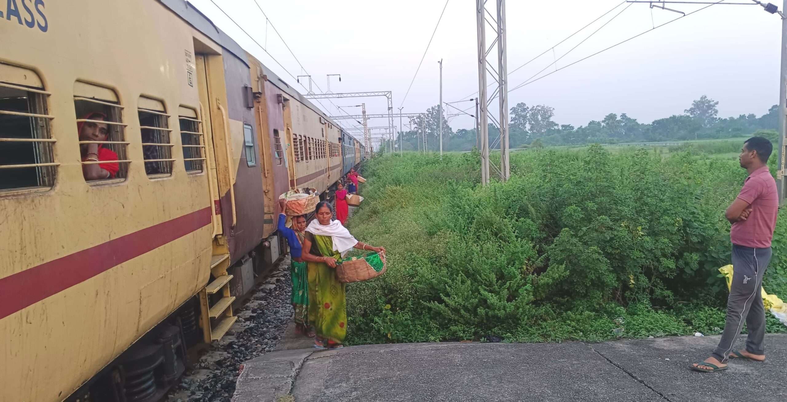 फेसर स्टेशन के डाउन प्लेटफार्म के पास उगी बड़ी-बड़ी झाड़ियां, यात्रियों को हो रही परेशानी