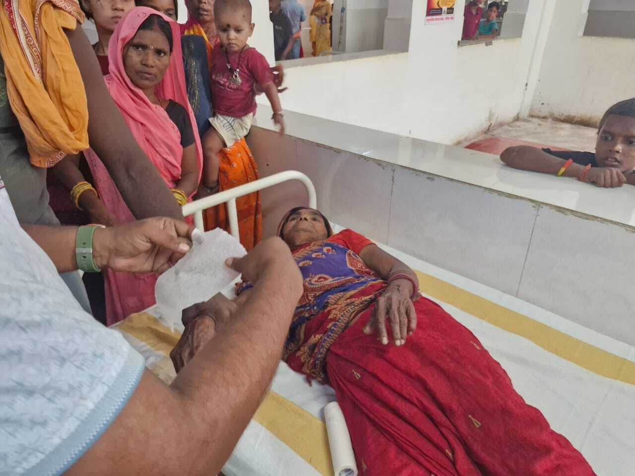 सर्पदंश से महिला जख्मी, अस्पताल में हुआ उपचार