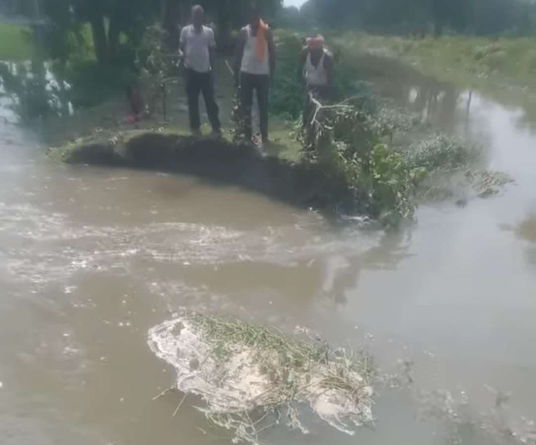 नहर टूटने से फसल को हो रहा नुकसान