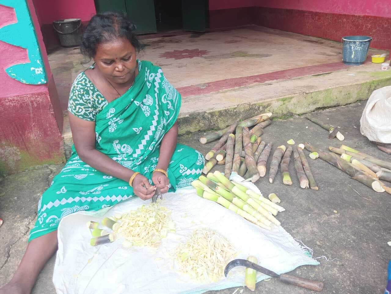 East Singhbhum News : चाकुलिया : बांस का आचार बना रहीं महिलाएं