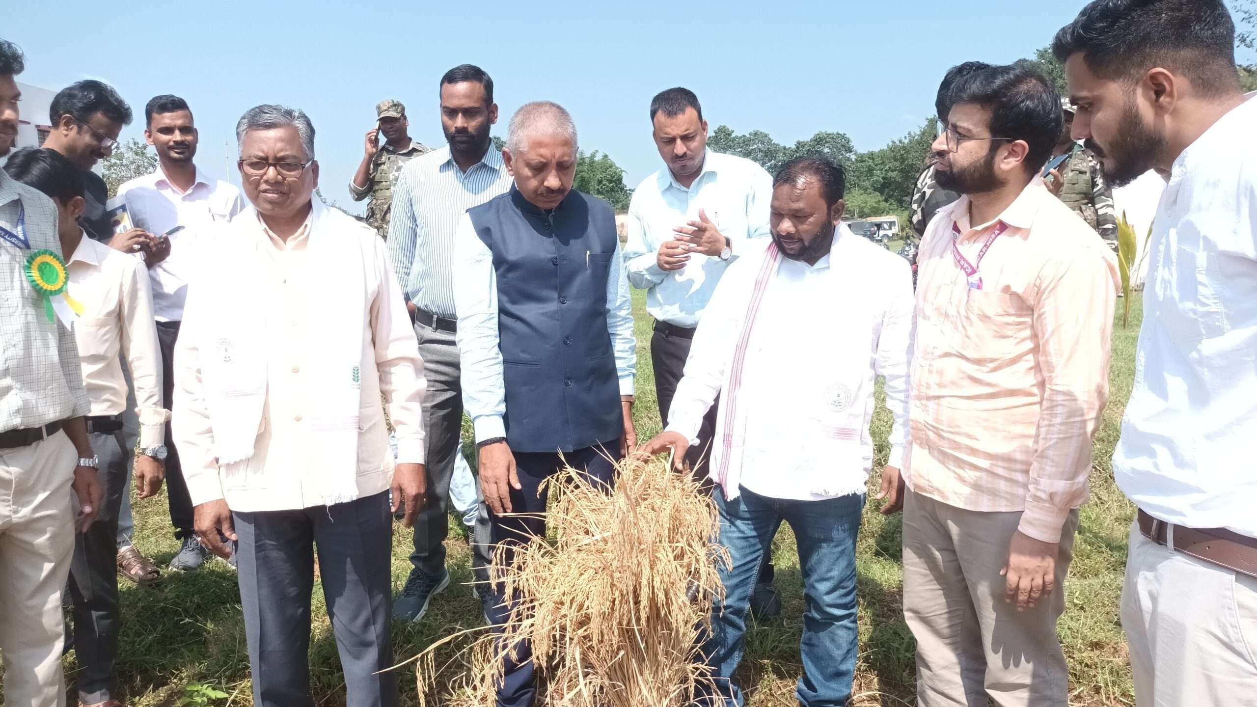 धान, माडुआ, शकरकंद आदि की पैदावार बढ़ाने पर शोध करें वैज्ञानिक : सांसद