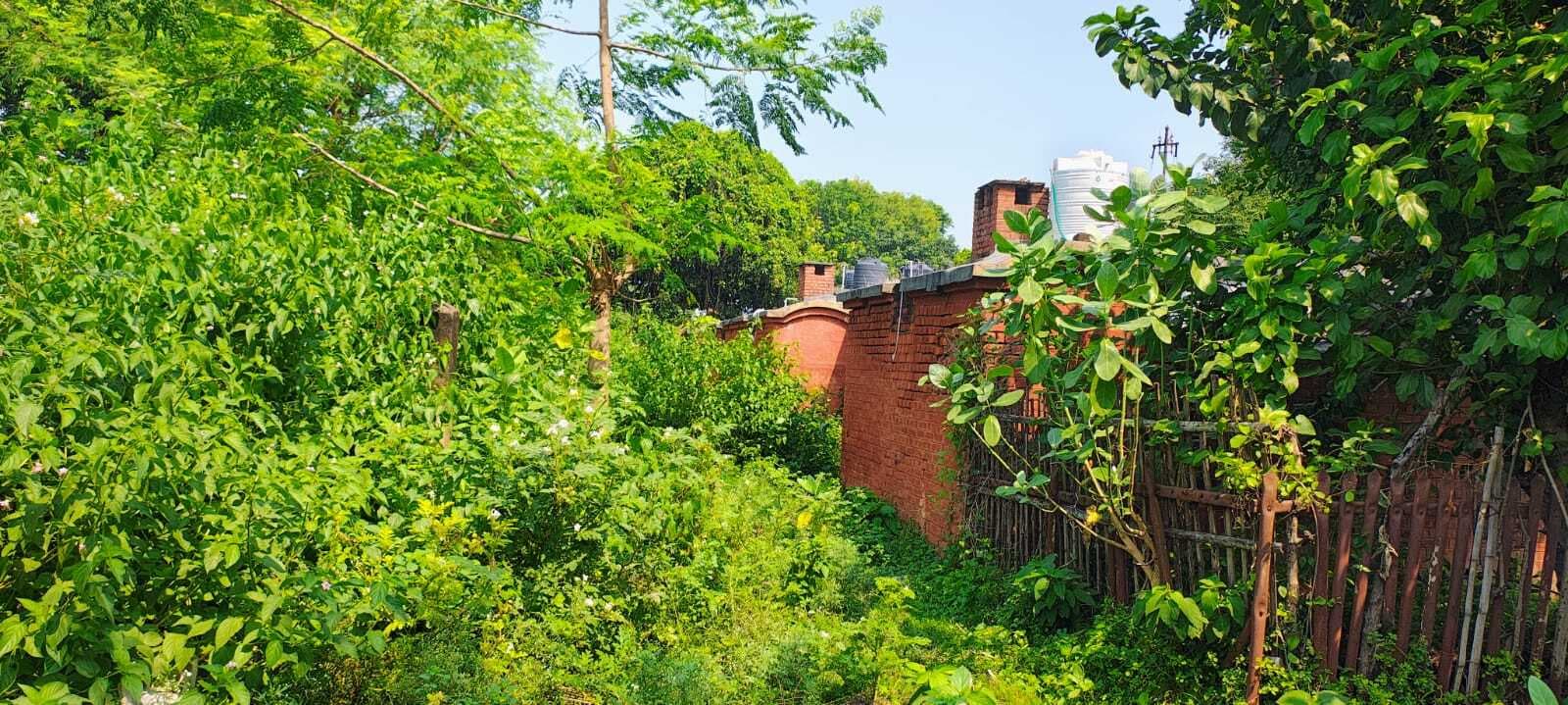 रामपुर रेलवे कॉलोनी बना जंगल, क्वार्टरवासियों की समस्या को ले रेल प्रशासन उदासीन