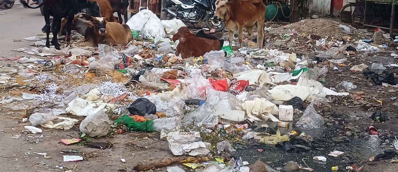 आवासीय मोहल्लों में नियमित नहीं होती सफाई व कचरा उठाव