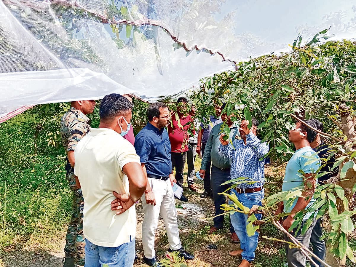 Seraikela Kharsawan News : महिलाओं को स्वरोजगार से जोड़ें : डीसी