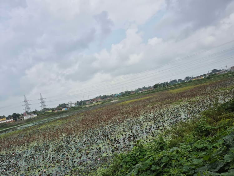 नगर निगम क्षेत्र में 67 छठ घाट हैं चिह्नित, किसी में नहीं हुआ सफाई कार्य शुरू