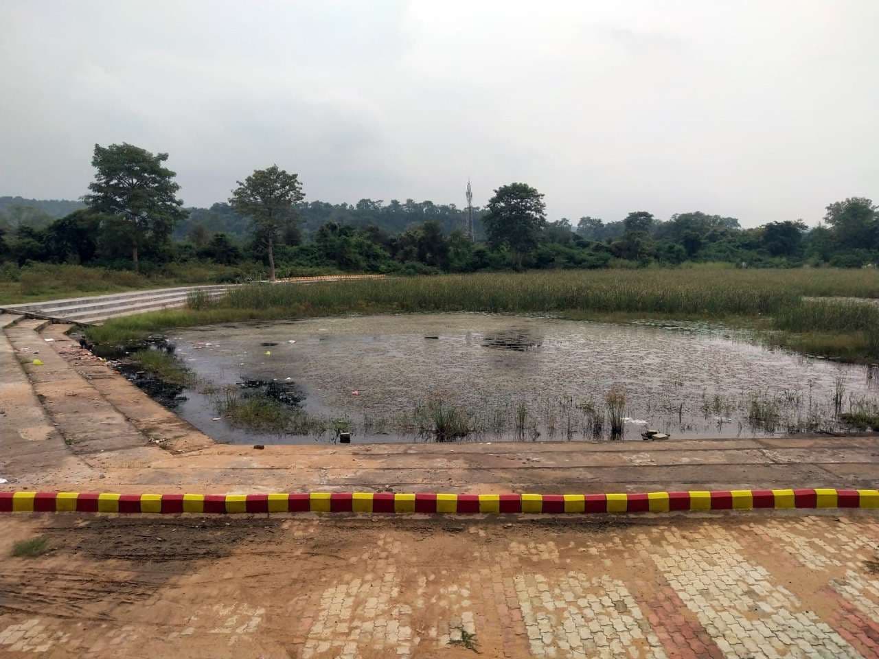 शैवाल भरे एसीसी छठ तालाब के पानी में छठव्रतियों को देना पड़ेगा अर्घ्य