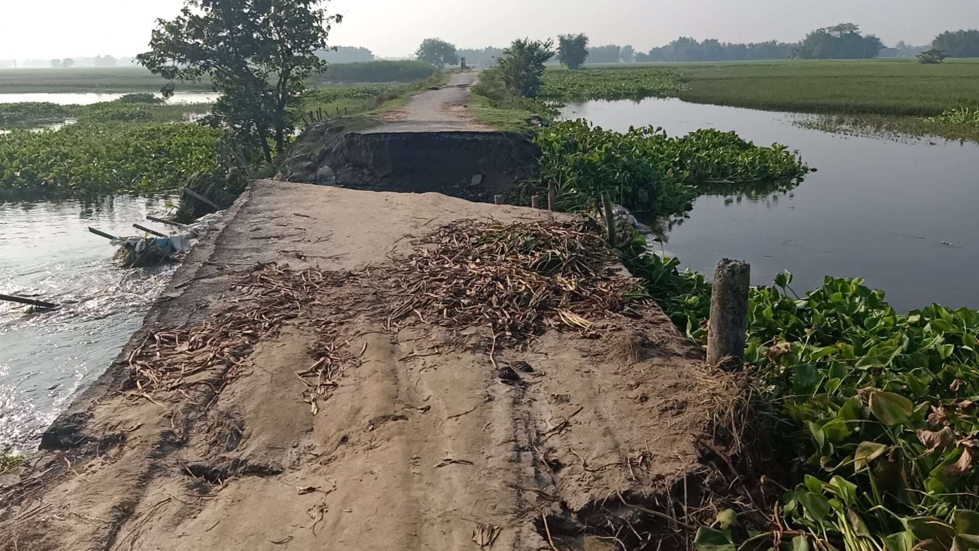 बाढ़ के पानी का बढ़ा दबाव, टूटी सड़क