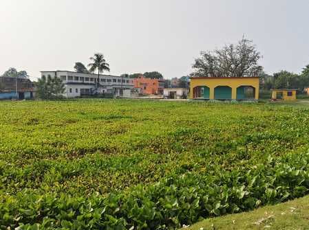 छठ पर्व नजदीक, पर साफ-सफाई से नदारद छठ घाट