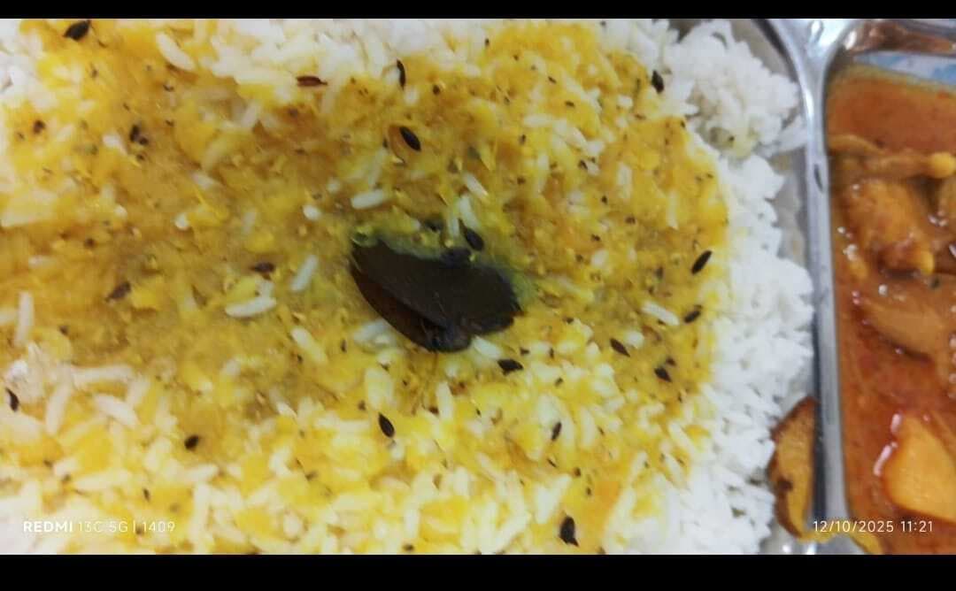 Jamshedpur News : टीएसडीपीएल के सीआर प्लांट कैंटीन के खाने में मिला कीड़ा