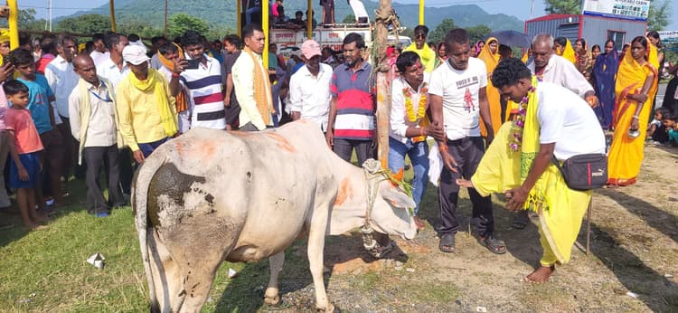 Dhanbad News: वृहद कला मंच ने मनाया डहरे सोहराय महोत्सव