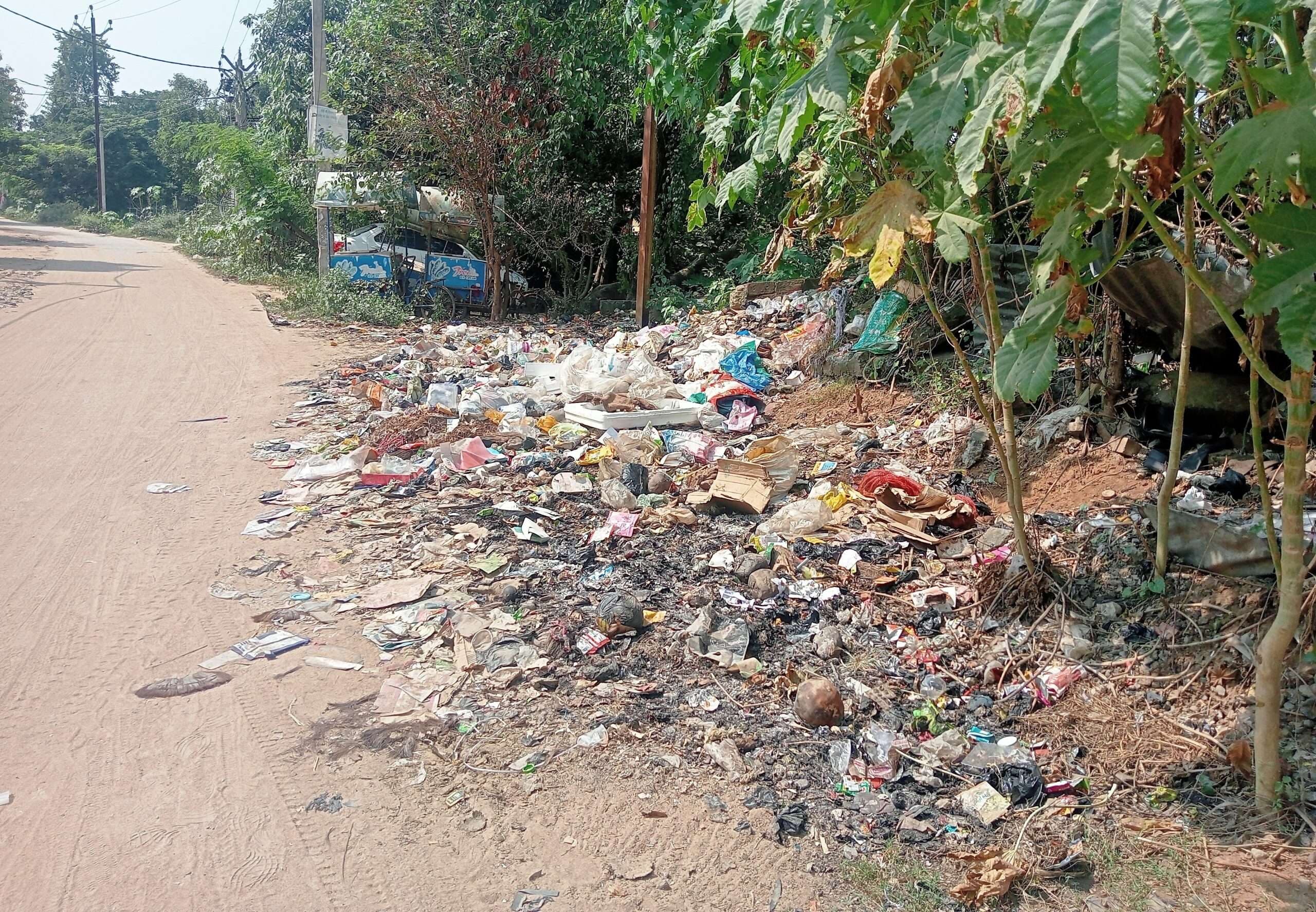 हसपुरा में स्वच्छता अभियान फेल, सड़कों पर पसरा है कचरा