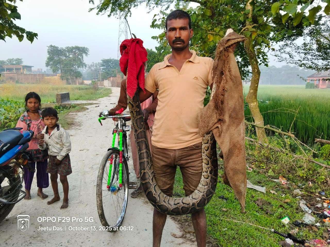 जाल में फंसा 12 फीट लंबा अजगर