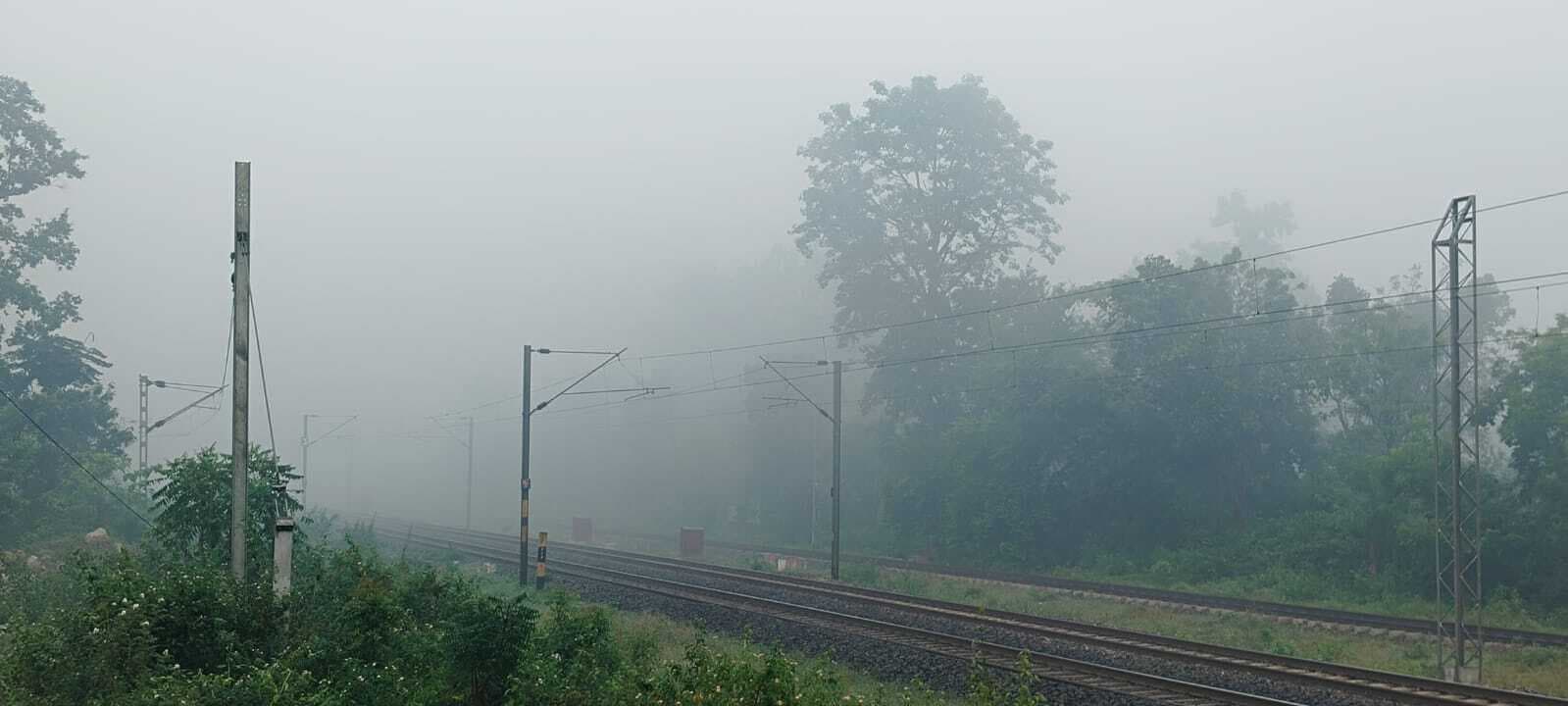 बारिश के बाद छाया कोहरा, मैक्लुस्कीगंज में गुलाबी ठंड ने दी दस्तक