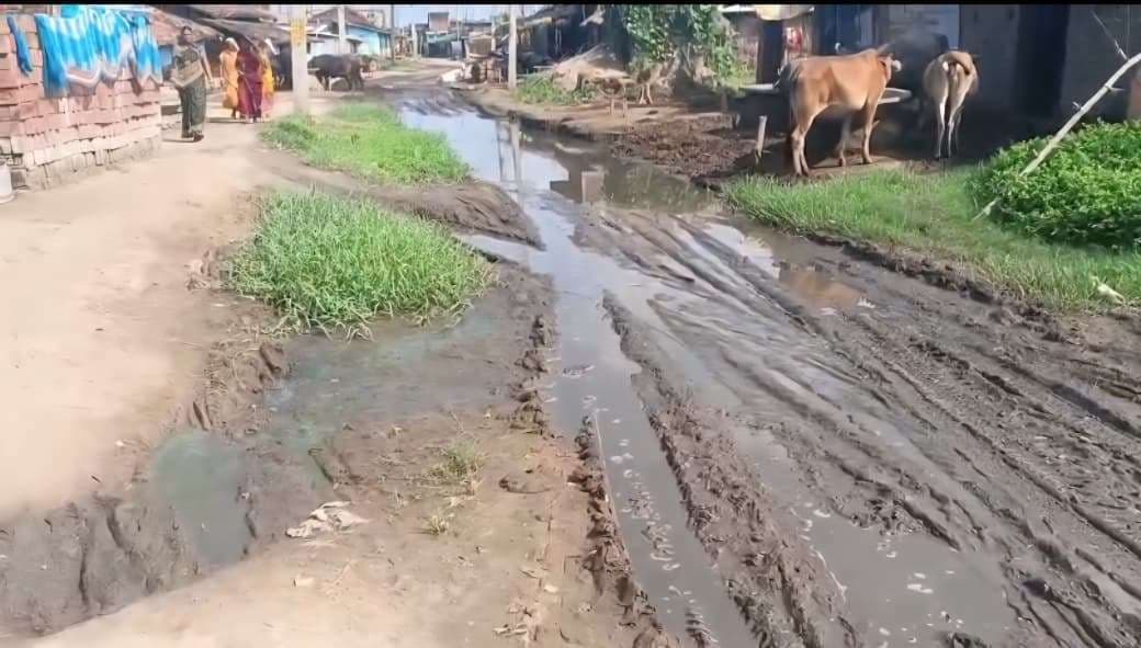 नाला के अभाव में सड़क कीचड़मय, आवागमन में ग्रामीणों को हो रही परेशानी