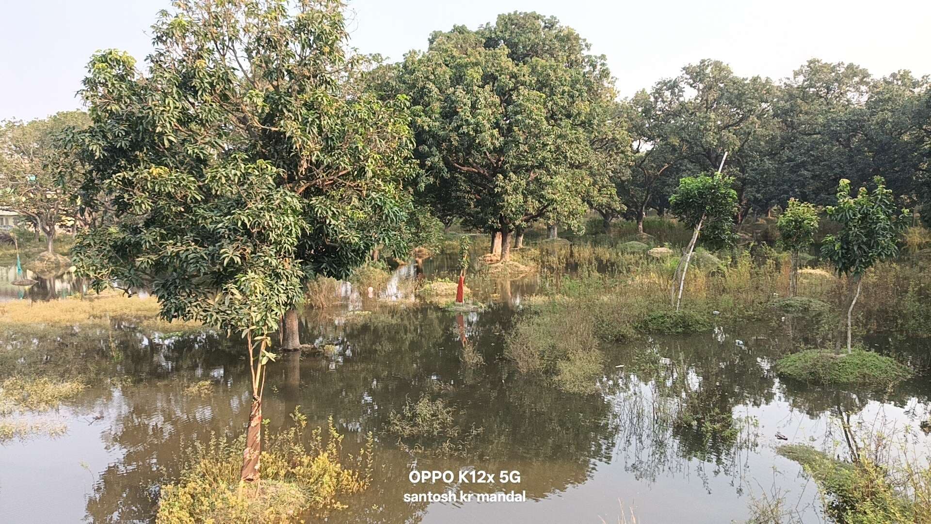 Darbhanga News: रत्नोपट्टी चनहरिया गाछी तक पहुंचा बागमती का पानी