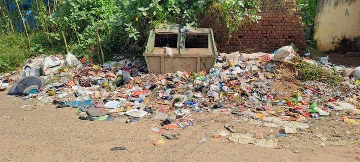 मोहल्लों से लेकर मुख्य चौक-चौराहों तक पसरी गंदगी, स्वास्थ्य संकट गहराया