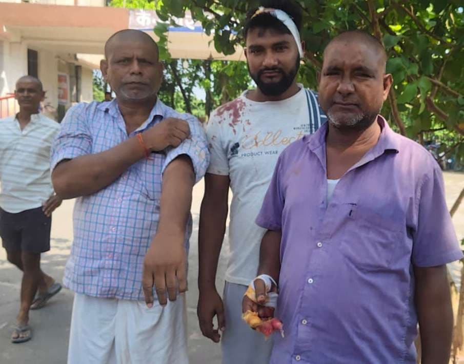 भूमि विवाद में चार घायल