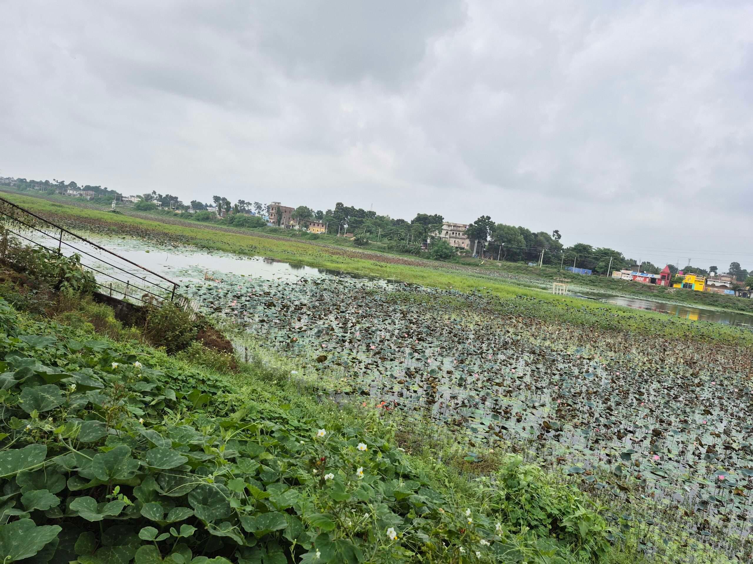 नगर निगम के चिह्नित सभी घाटों पर है गंदगी का अंबार