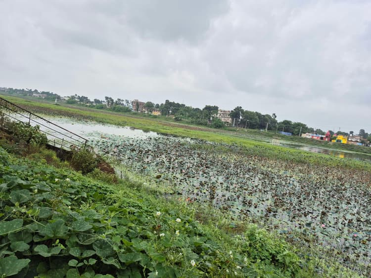 नगर निगम के चिह्नित सभी घाटों पर है गंदगी का अंबार