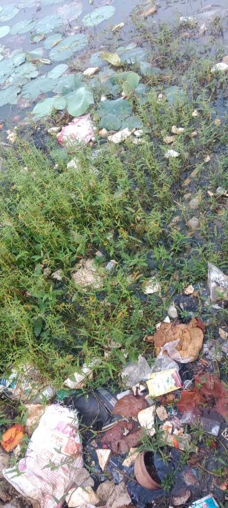 Deoghar news : रामपुर छठ घाट समिति ने की जल्द तालाब की सफाई कराने की मांग, पसरी है गंदगी