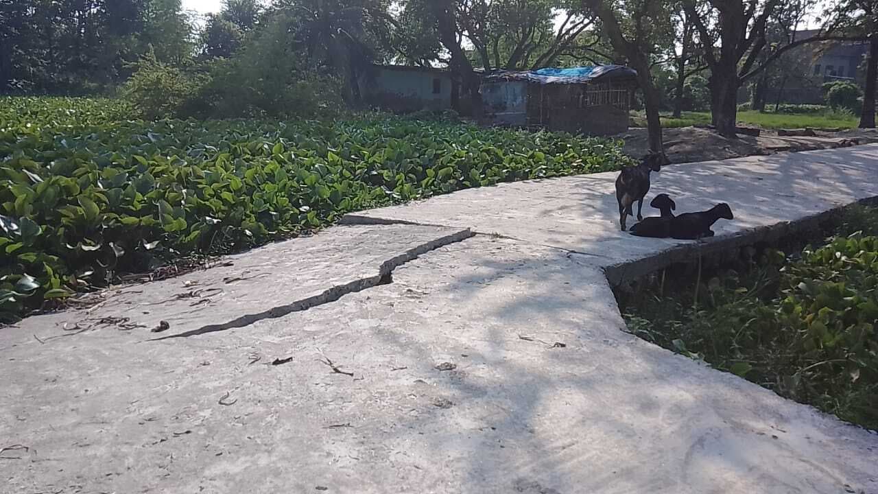 पीसीसी पथ भ्रष्टाचार की भेंट चढ़ी, टुटकर हुआ धराशाई