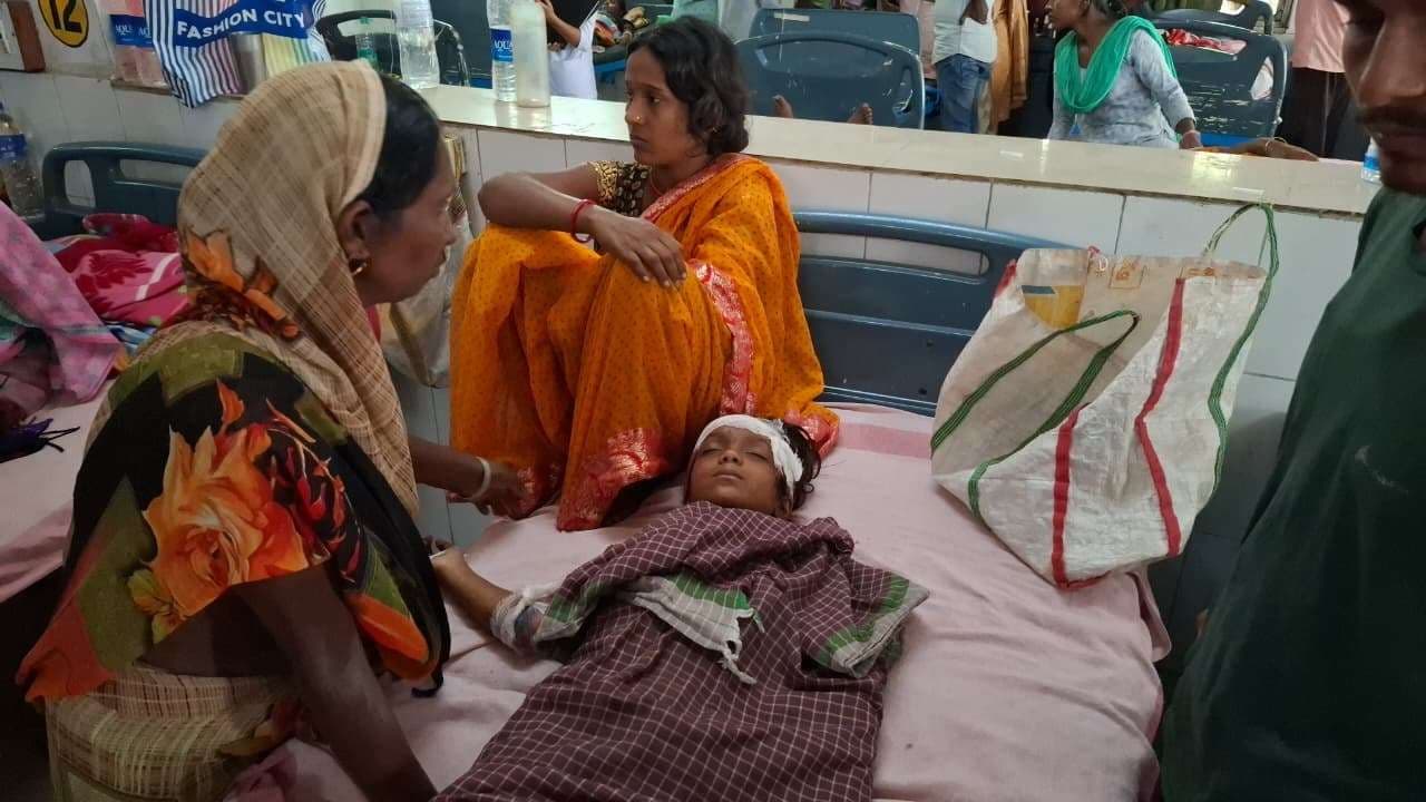 Dhanbad News: कुत्तों के झुंड ने बच्ची पर किया हमला, हालत गंभीर, रिम्स रेफर