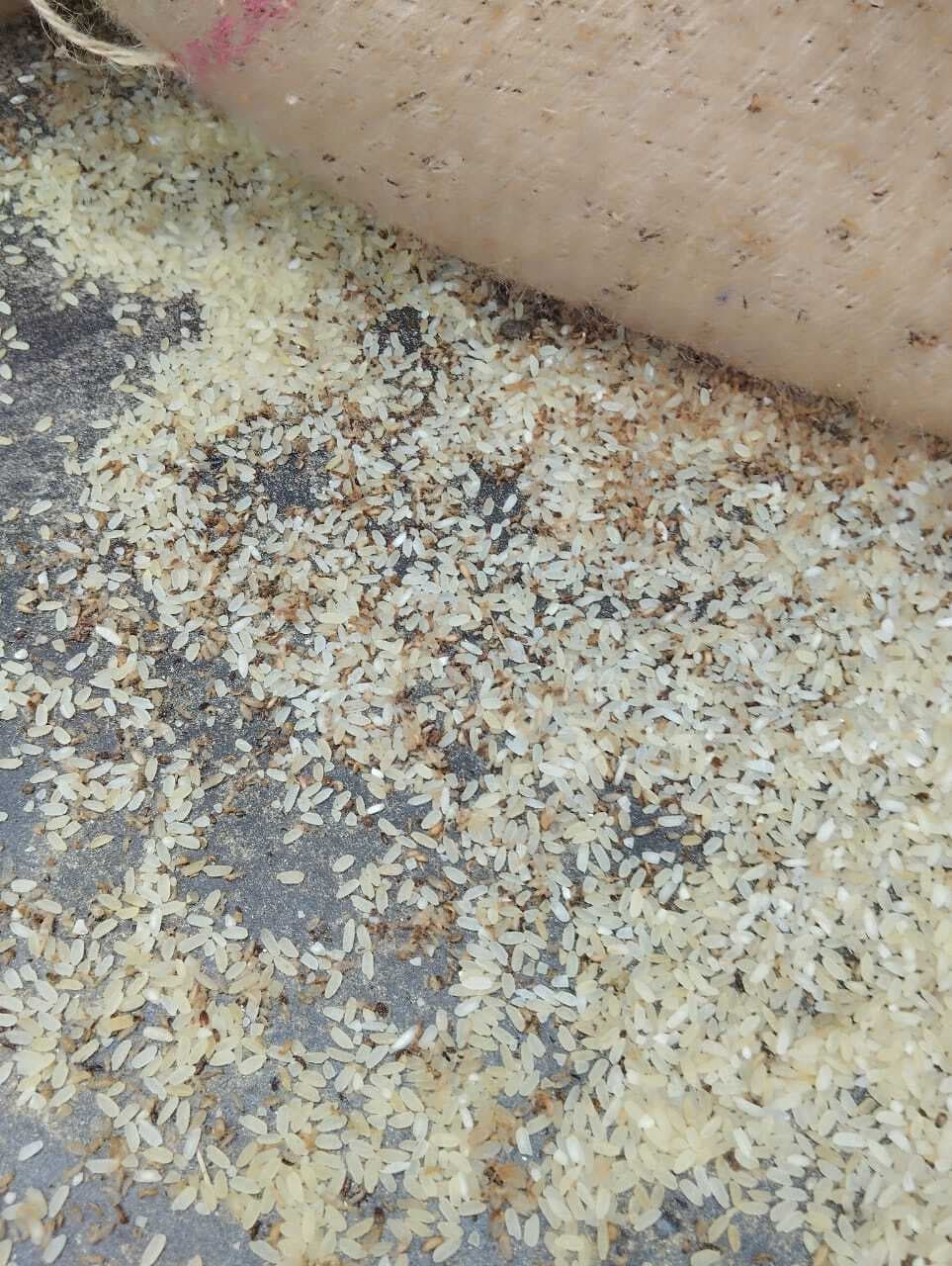 hajipur news. पीडीएस डीलरों ने चावल की गुणवत्ता पर उठाया सवाल