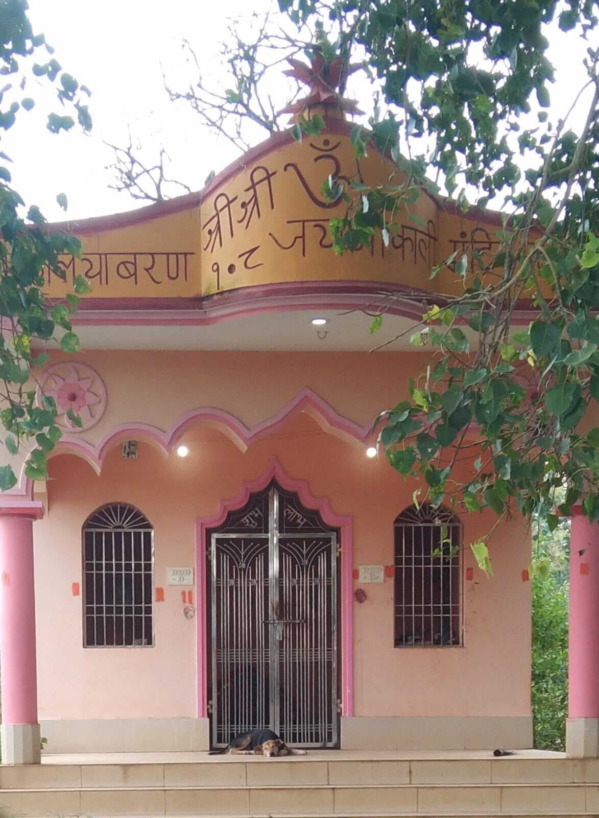 जयपुर में मुस्लिम श्रद्धालु ने की है काली पूजा की शुरुआत