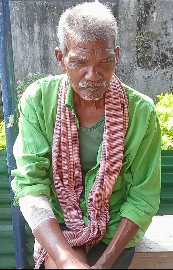 Chaibasa News : मशरूम चुनने गये वृद्ध पर भालू ने किया हमला, घायल