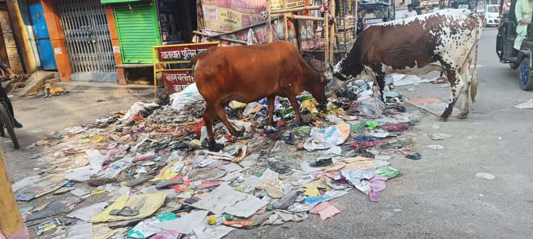 सफाई के पर्व पर पूरे शहर में लगा कचरे का ढेर