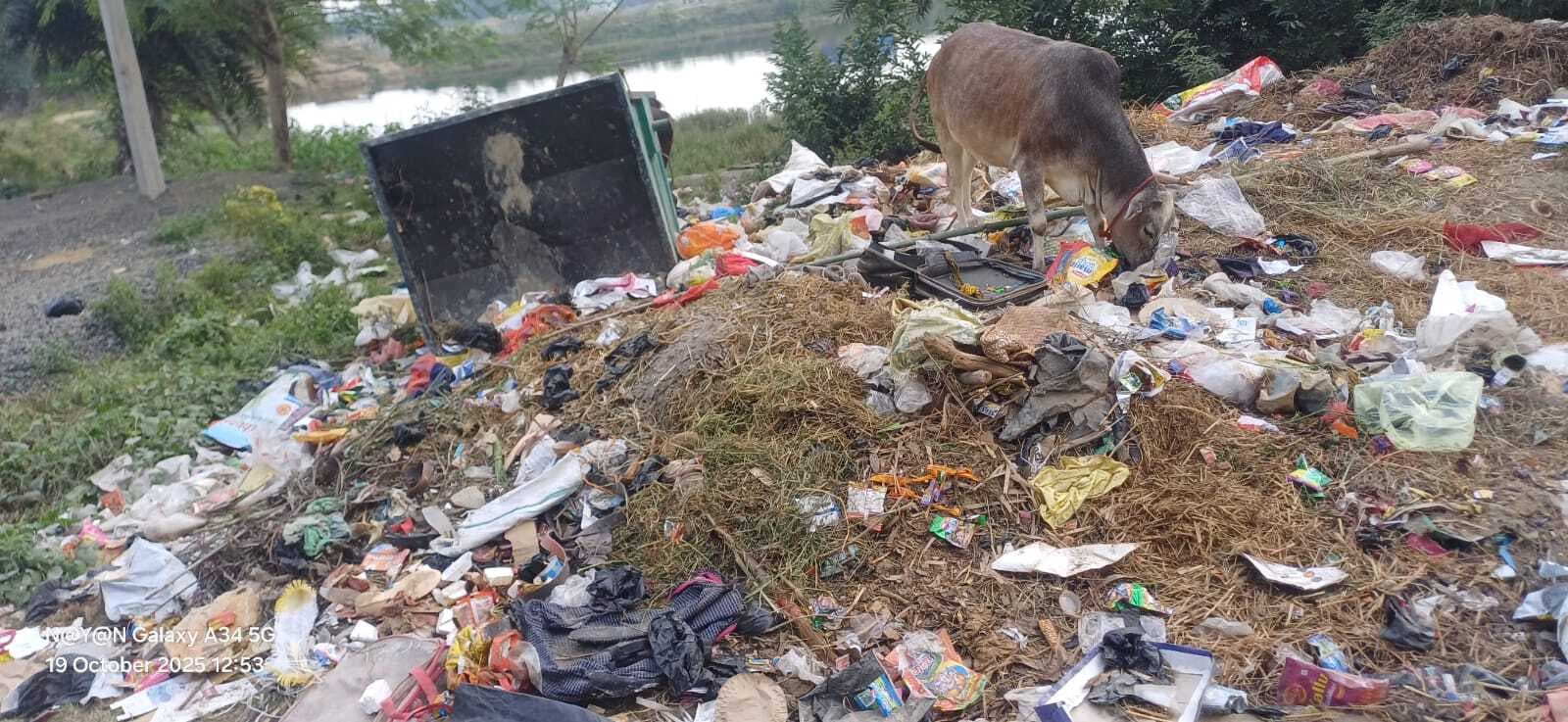 दीपावली में भी नगर की नहीं हो पायी सफाई, लक्ष्मी का कैसे होगा प्रवेश ?