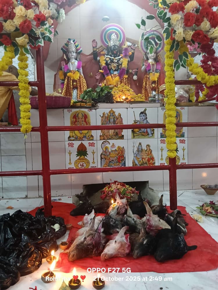 मनोकामना पूरी होने पर मां काली को दी जाती है छाग बलि