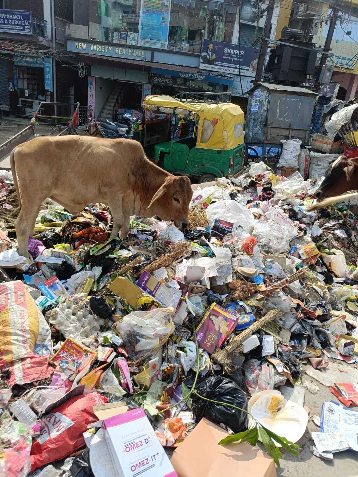 Darbhanga News: कचरे के ढेर पर मनी शहरवासियों की दीवाली, नहीं हुआ कूड़े का उठाव