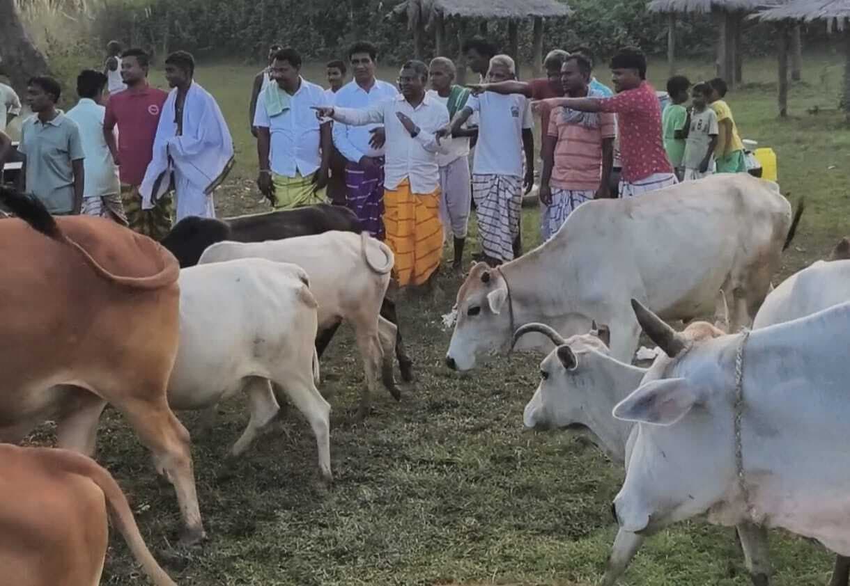 East Singhbhum News : गोट पूजा में झलकती है धार्मिक,पारंपरिक सांस्कृति व सामुदायिक एकजुटता : सोमेश