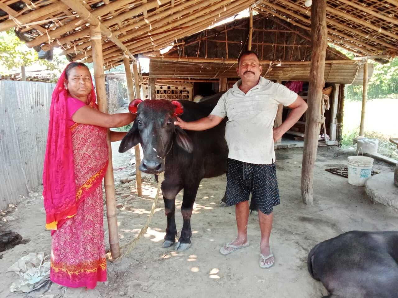 पशुपालकों ने श्रद्धापूर्वक की गोवर्धन पूजा