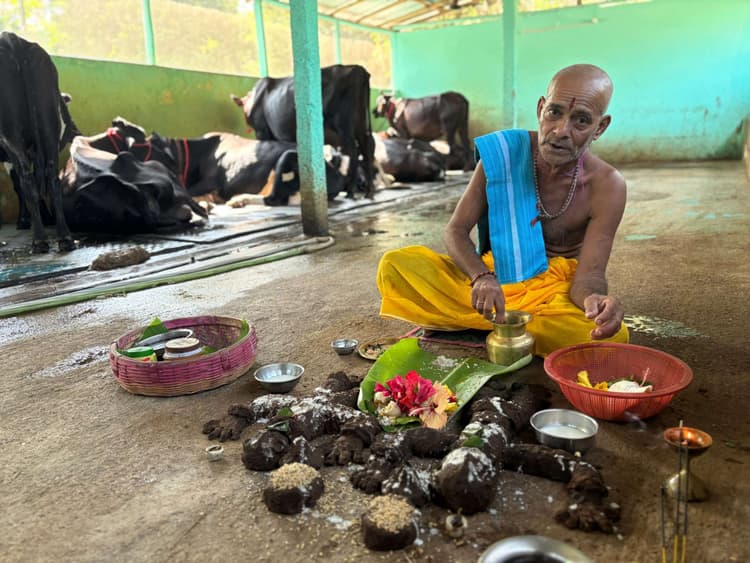 लोगों ने श्रद्धापूर्वक की गोवर्धन पूजा