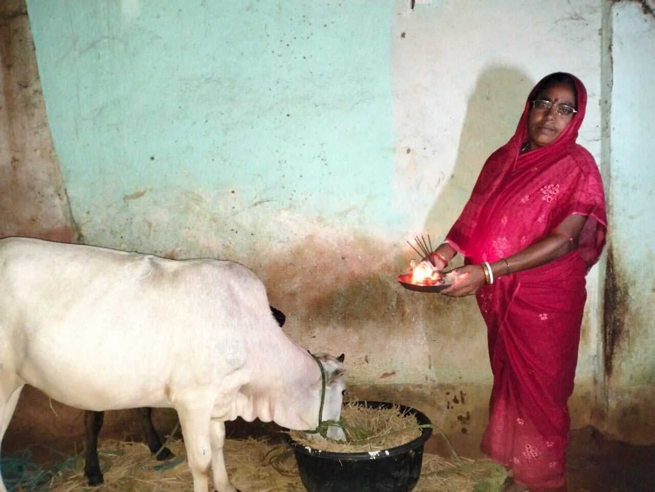 फतेहपुर में उत्साह के साथ हुई गोवर्धन पूजा