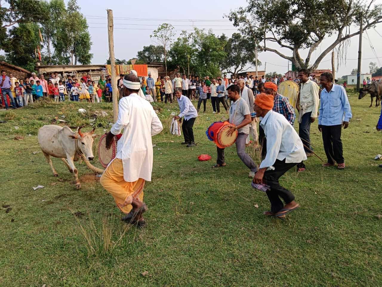 Giridih News: सरिया प्रखंड में उत्साह के साथ हुई गोवर्धन पूजा